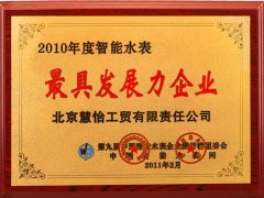 2010年度智能水表最具发展力企业
